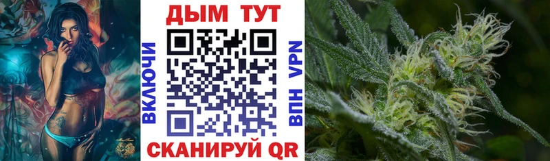 Виды наркотиков купить Вятские Поляны Галлюциногенные грибы  АМФЕТАМИН  Гашиш  Кокаин  Конопля 